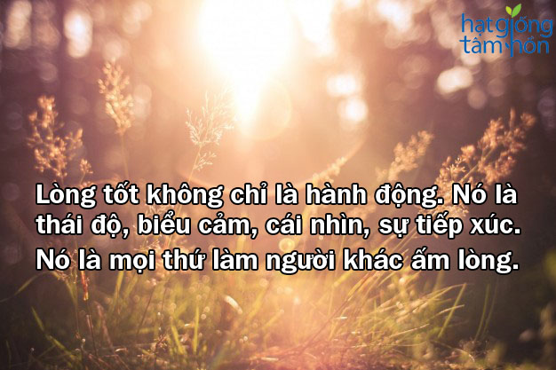 Những câu nói hay về cuộc sống hằng ngày giúp chúng ta sống có ý nghĩa hơn 12