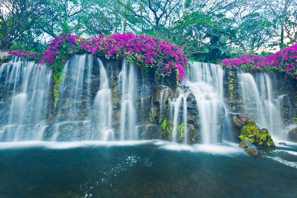Những hình ảnh tuyệt đẹp về mùa hạ trên khắp thế giới 16