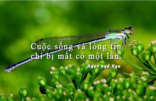 Những câu nói hay và thấm thía về lòng tin đáng suy ngẫm 0