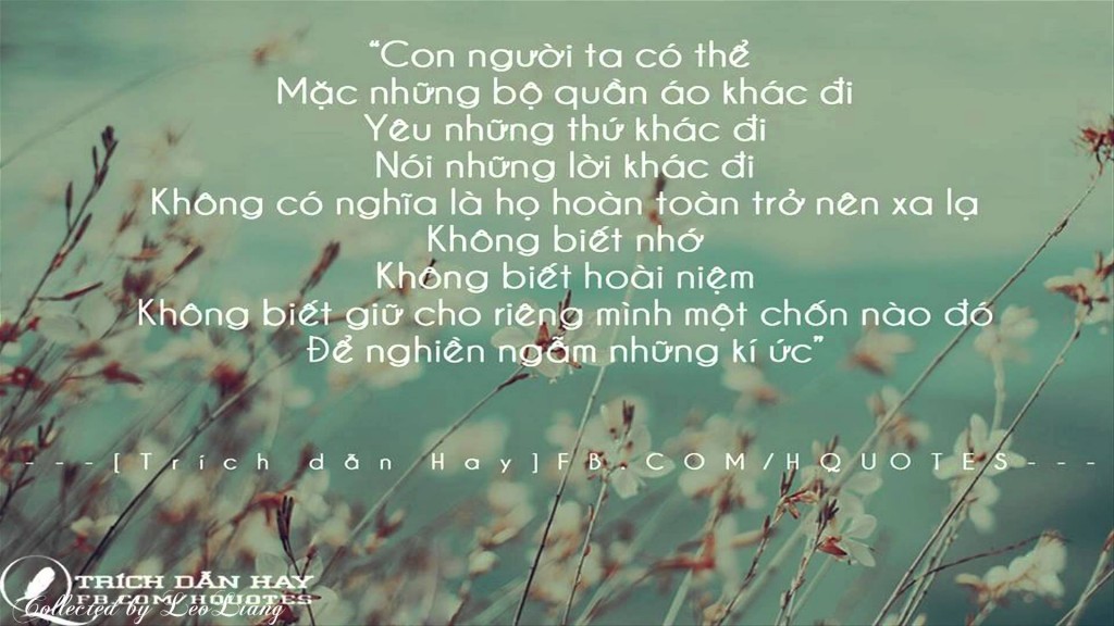 Tổng hợp những đoạn trích dẫn hay và độc đáo trong các tác phẩm văn học – điện ảnh hoặc của người nổi tiếng 1