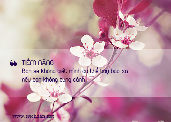 Tổng hợp những đoạn trích dẫn hay và độc đáo trong các tác phẩm văn học – điện ảnh hoặc của người nổi tiếng 2