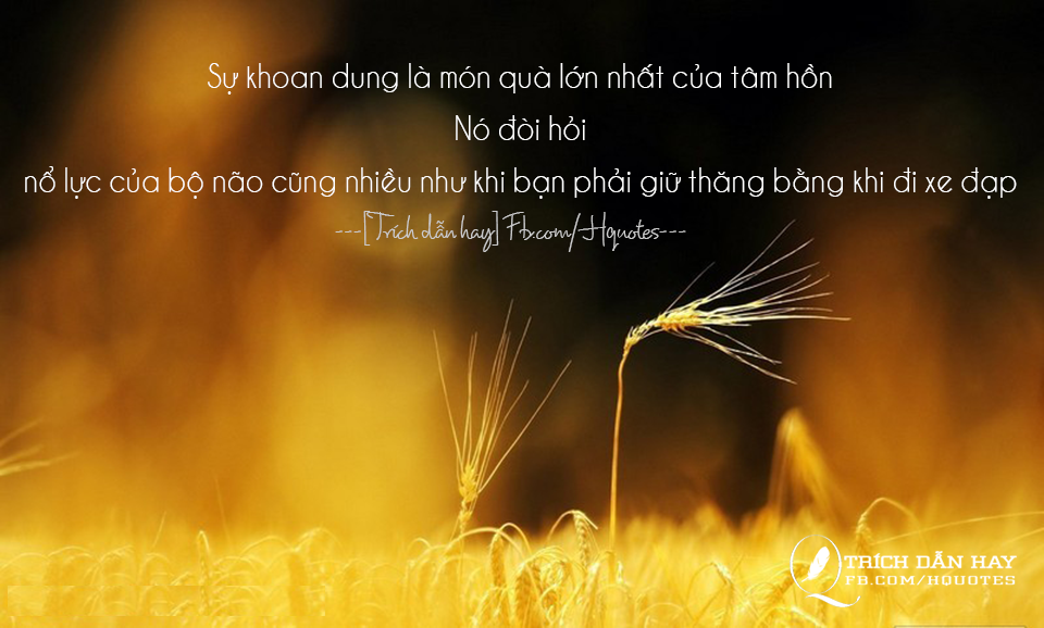 Tổng hợp những đoạn trích dẫn hay và độc đáo trong các tác phẩm văn học – điện ảnh hoặc của người nổi tiếng 5