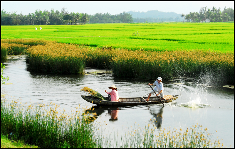 Tuyển tập những câu nói về quê hương hay có ý nghĩa sâu sắc 0