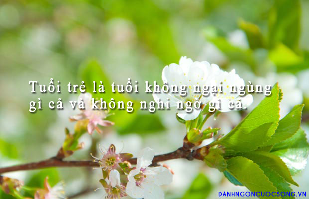 Tổng hợp những câu nói hay tuyệt vời về tuổi tác cực ý nghĩa 1