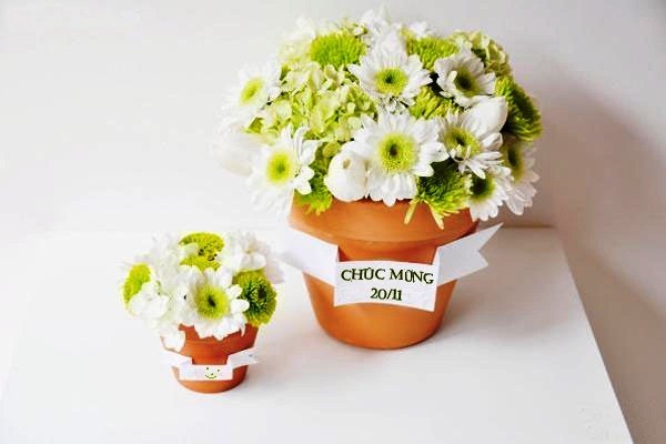 Hoa đẹp tặng ngày 20/11 dành cho thầy cô giáo đầy ý nghĩa 0