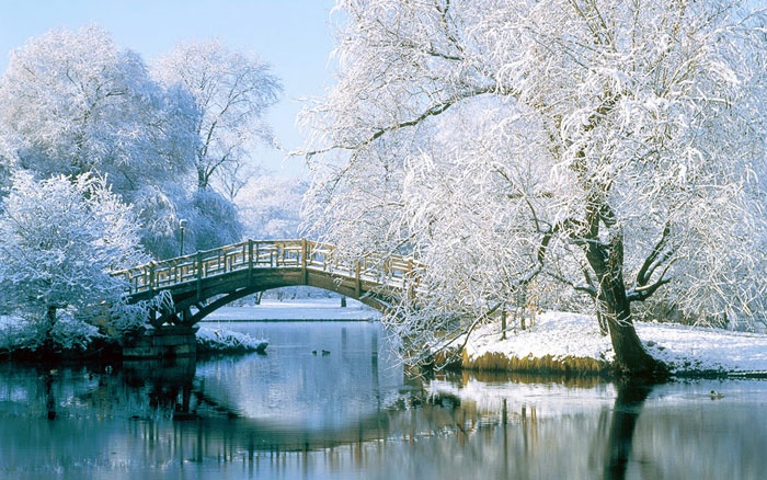 Hình ảnh tuyết rơi mùa đông đẹp nhất thế giới năm 2015 0