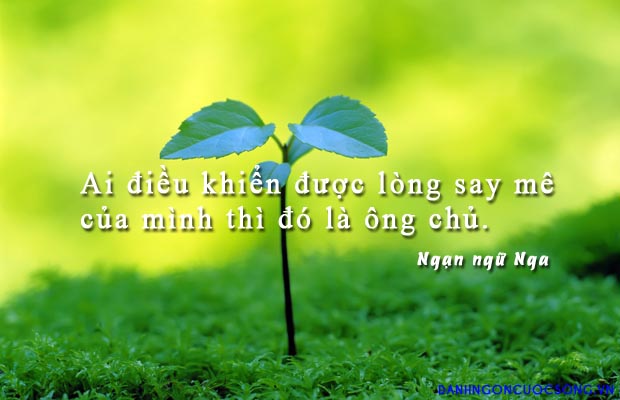 Những câu nói hay truyền cảm hứng cho niềm đam mê 3