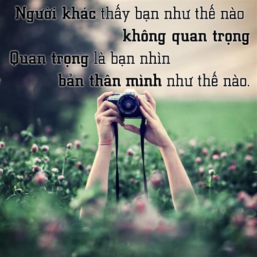 Những câu nói hay và đúng nhất về cuộc sống hằng ngày xung quanh bạn 3