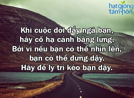 Những câu nói thâm thúy khiến bạn vực dậy mỗi khi muốn bỏ cuộc 0