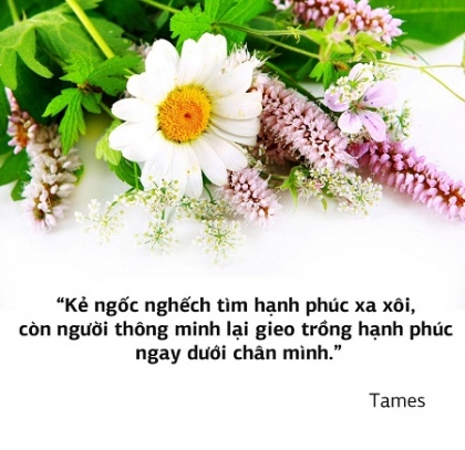 Tổng hợp hình ảnh những câu nói hay về cuộc sống triết lý nhất 8