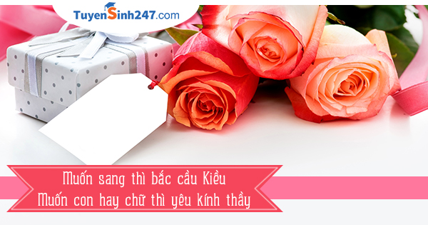 Những câu danh ngôn bất hủ về thầy cô hay nhất 1