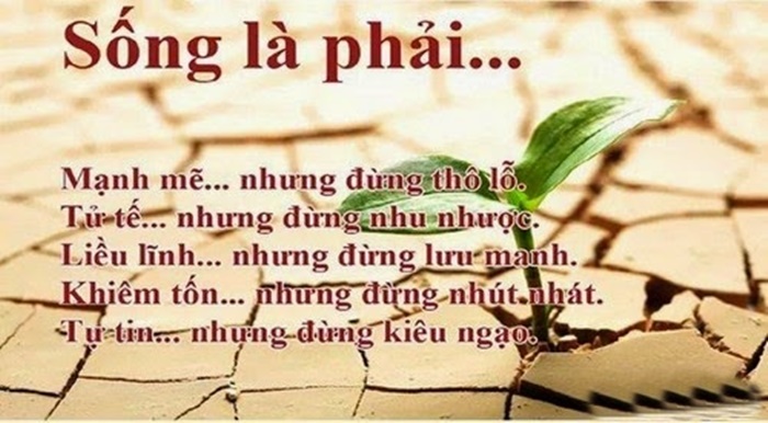 Hình ảnh những câu nói bất hủ hay nhất về cuộc sống cực ý nghĩa 3