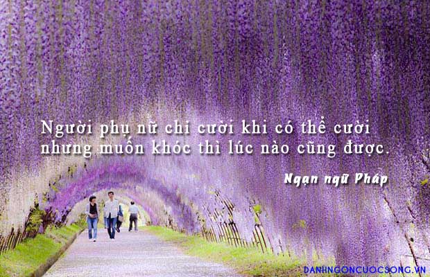 Những câu danh ngôn hay về phái đẹp của người nổi tiếng 4