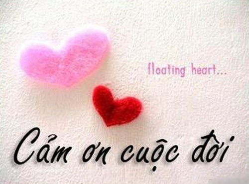 Hình ảnh đẹp về gia đình hạnh phúc ý nghĩa nhất 6
