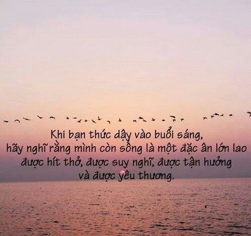 40 câu nói hay về cuộc sống ý nghĩa tốt cho bạn 5