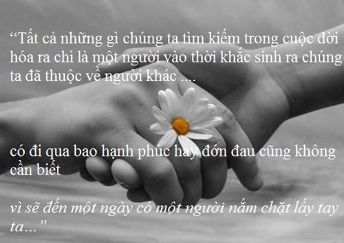 Những câu nói hay về cuộc đời ý nghĩa nhất đáng để suy ngẫm 0