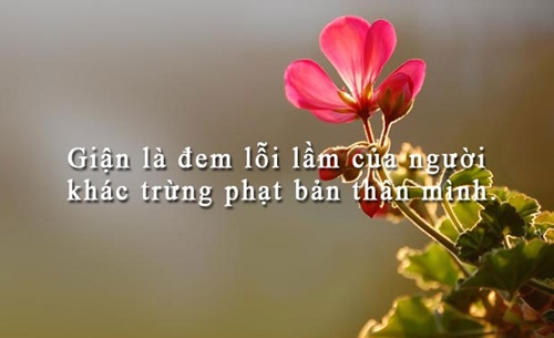 Những câu nói hay đáng suy ngẫm về bản thân giúp bạn vượt qua khó khăn trong cuộc sống 1