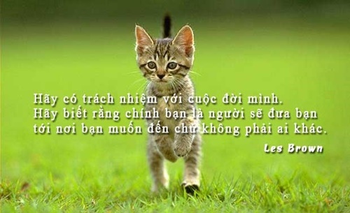 Những câu nói hay đáng suy ngẫm về bản thân giúp bạn vượt qua khó khăn trong cuộc sống 5