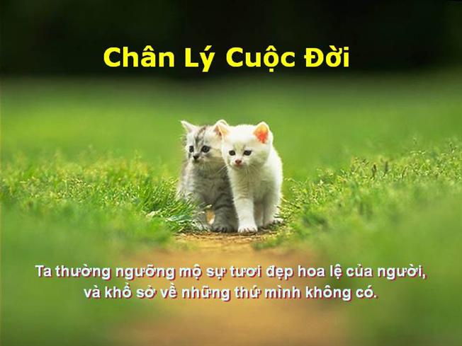 Những câu danh ngôn hay bất hủ về ước mơ ý nghĩa cho mọi người 1