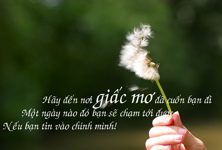 Những câu danh ngôn hay bất hủ về ước mơ ý nghĩa cho mọi người 2