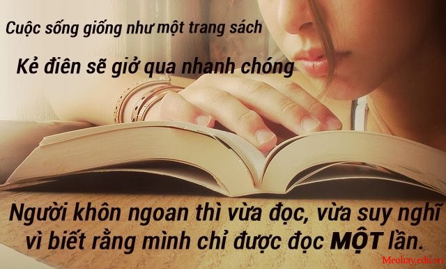 Những câu nói hay bất hủ ý nghĩa nhất mọi thời đại 10