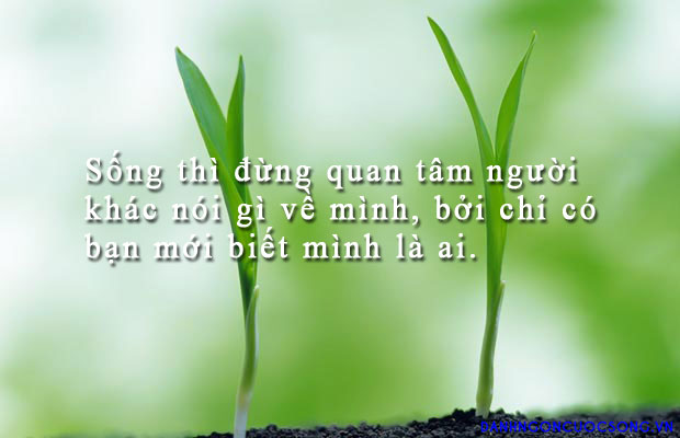 Những câu châm ngôn hay bất hủ ý nghĩa nhất về cuộc sống 1