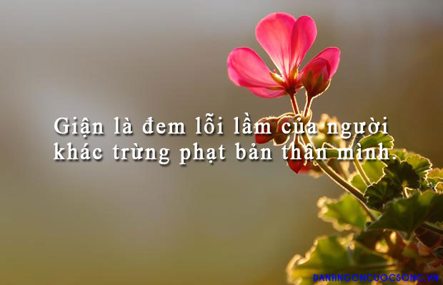 Những câu nói hay nhất về bản thân bằng tiếng anh 0
