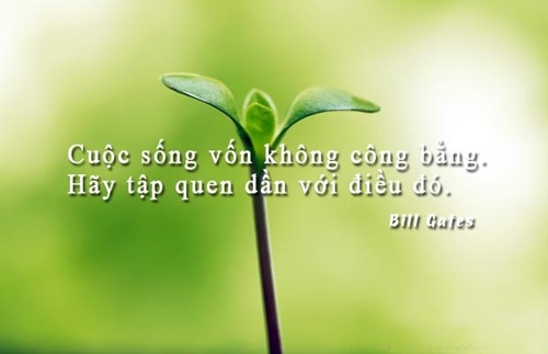 Những câu nói hay về cuộc sống truyền cảm nhất dễ hiểu dễ trau dồi 0