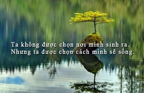 Những câu nói hay về cuộc sống truyền cảm nhất dễ hiểu dễ trau dồi 1