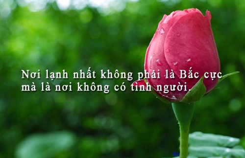 Những câu nói hay về cuộc sống truyền cảm nhất dễ hiểu dễ trau dồi 2