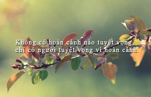 Những câu nói hay về cuộc sống truyền cảm nhất dễ hiểu dễ trau dồi 3