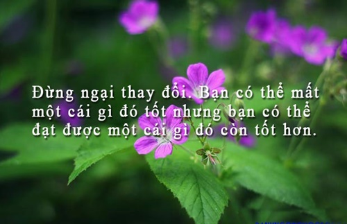 Những câu nói hay về cuộc sống truyền cảm nhất dễ hiểu dễ trau dồi 6