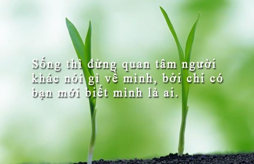 Những câu nói hay về cuộc sống truyền cảm nhất dễ hiểu dễ trau dồi 7