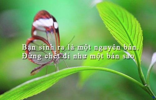 Những câu nói hay về cuộc sống truyền cảm nhất dễ hiểu dễ trau dồi 8