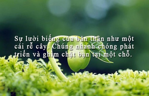 Những câu nói hay về cuộc sống truyền cảm nhất dễ hiểu dễ trau dồi 9