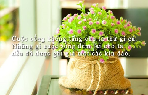 Những câu nói hay về cuộc sống truyền cảm nhất dễ hiểu dễ trau dồi 10