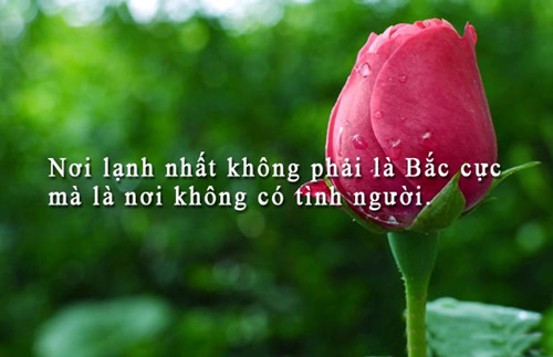 Những câu nói hay về cuộc sống truyền cảm nhất dễ hiểu dễ trau dồi 14