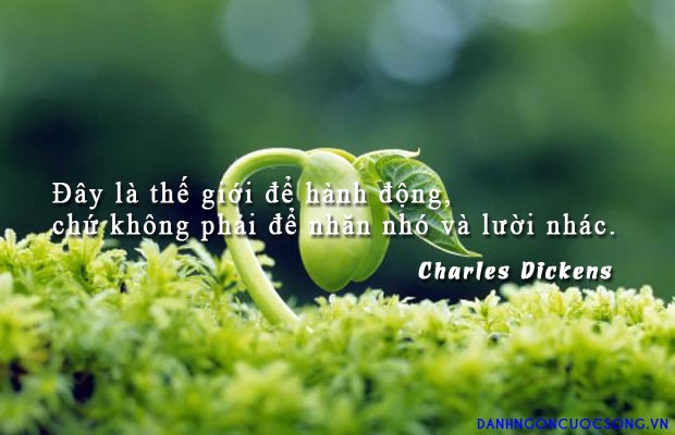 Những câu danh ngôn hay và ý nghĩa của vĩ nhân bằng tiếng anh 0
