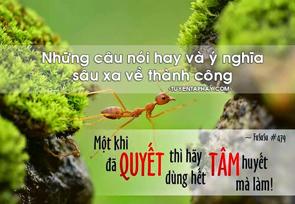 Những điều hay và ý nghĩa rút ra từ cuộc sống hằng ngày xung quanh bạn 1