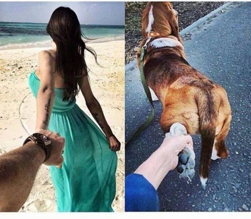 Hình ảnh hài hước nhất thế giới vô đối có một không hai 16