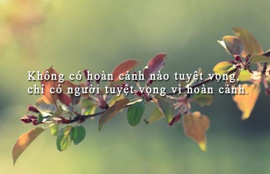 Stt hay về cuộc sống có ý nghĩa sâu sắc cho những người thiếu niềm tin 0