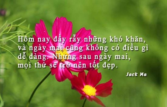 Stt hay về cuộc sống có ý nghĩa sâu sắc cho những người thiếu niềm tin 2