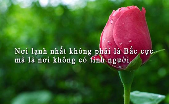 Stt hay về cuộc sống có ý nghĩa sâu sắc cho những người thiếu niềm tin 3