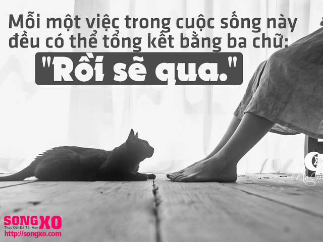 Những câu nói hay bất hủ trong cuộc sống ý nghĩa đáng xem nhất 0