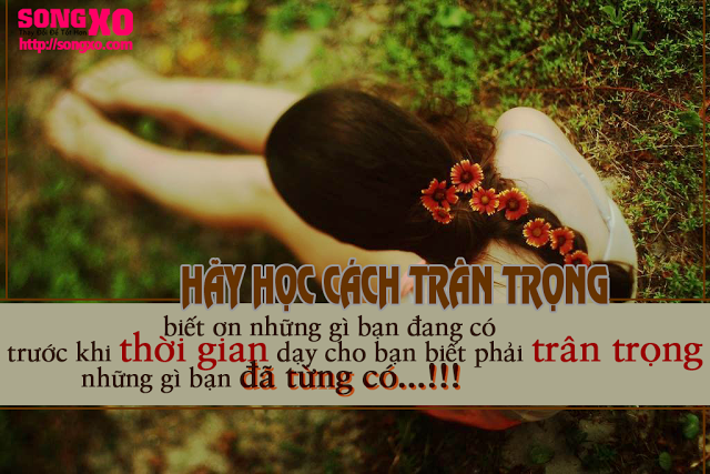 Những câu nói hay bất hủ trong cuộc sống ý nghĩa đáng xem nhất 2