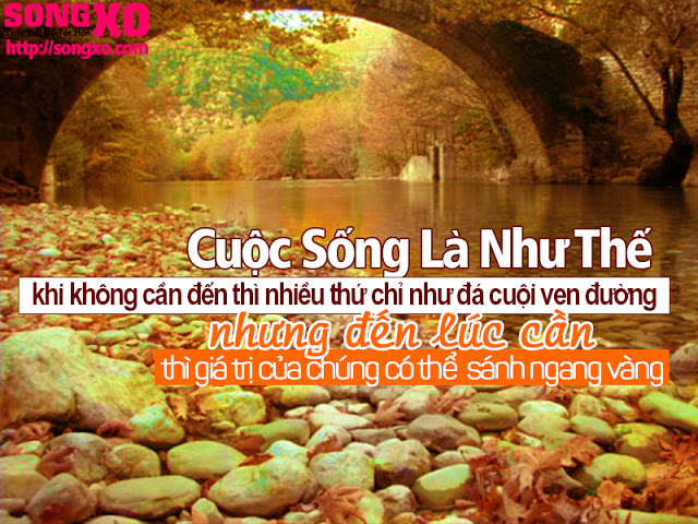 Những câu nói hay bất hủ trong cuộc sống ý nghĩa đáng xem nhất 7