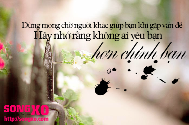 Những câu nói hay bất hủ trong cuộc sống ý nghĩa đáng xem nhất 10