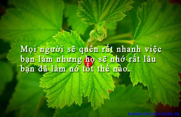 Những câu danh ngôn hay về công việc trong cuộc sống 2