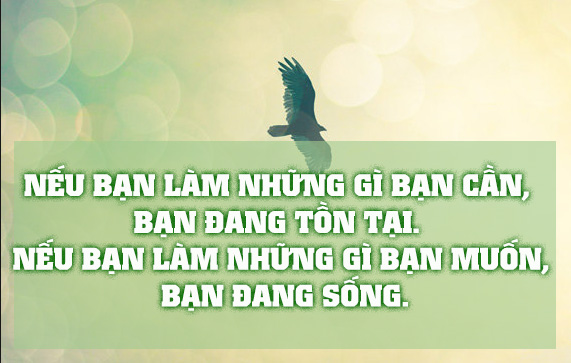 Suy ngẫm những câu nói hay và ý nghĩa về cuộc sống của người nổi tiếng 0