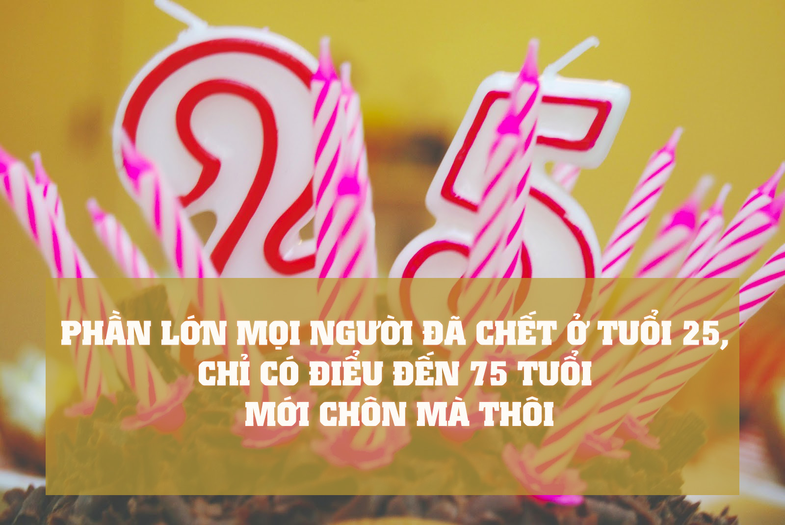 Suy ngẫm những câu nói hay và ý nghĩa về cuộc sống của người nổi tiếng 1